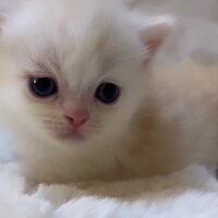 画像323