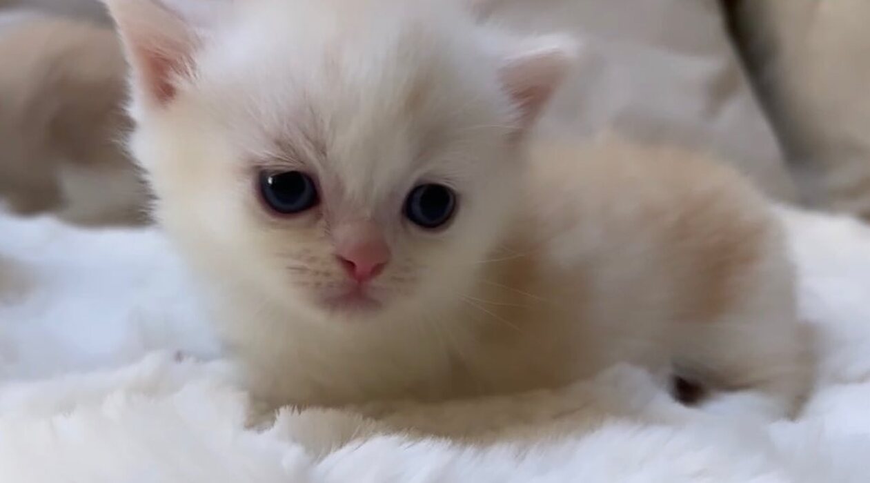 画像323