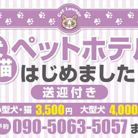 画像398