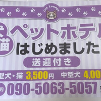 画像400