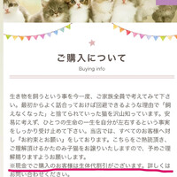画像414