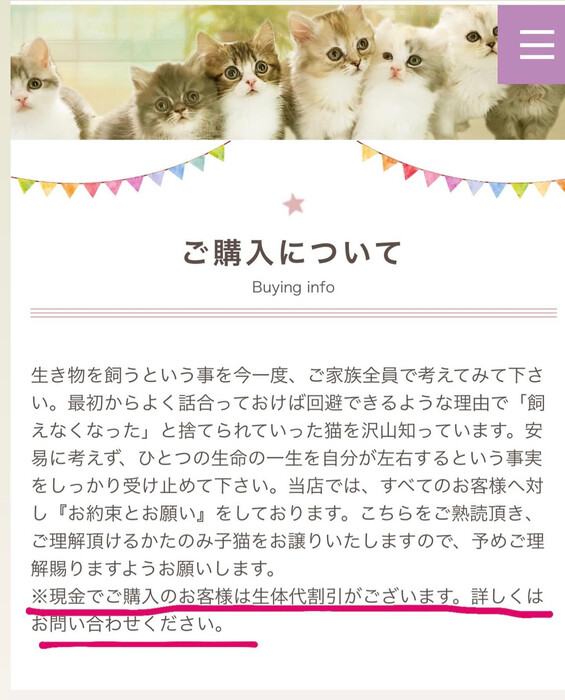 画像414
