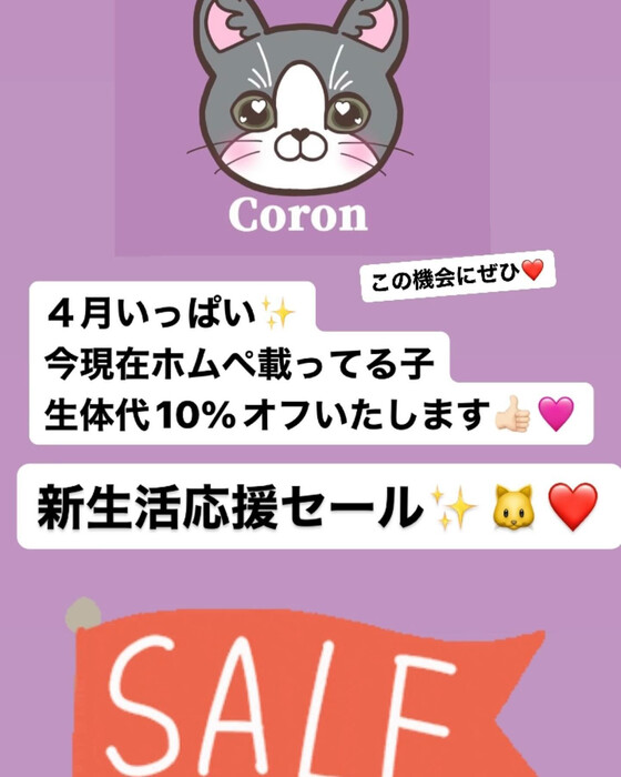 画像482